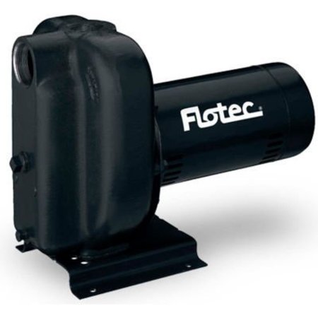 Pentair Flow Technologies Flotec Cast Iron Sprinkler Pump 2 HP FP5252-00